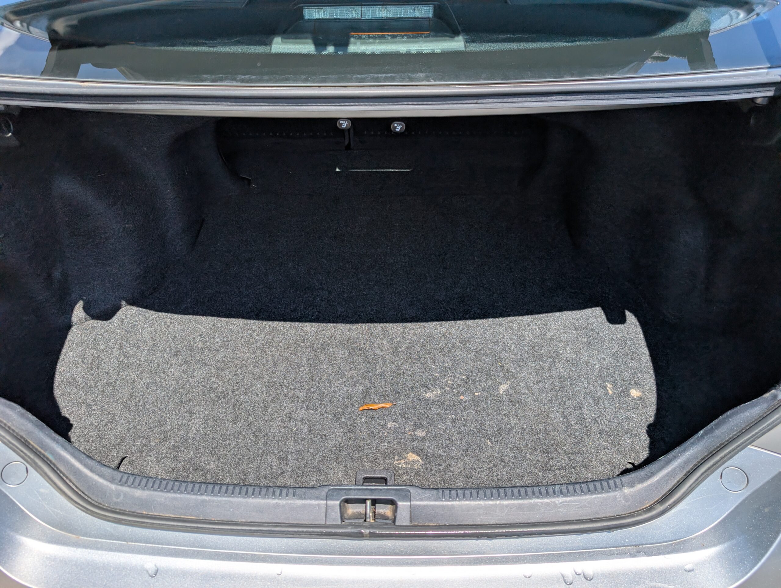 2017 Toyota Camry XLE Auto (Natl)