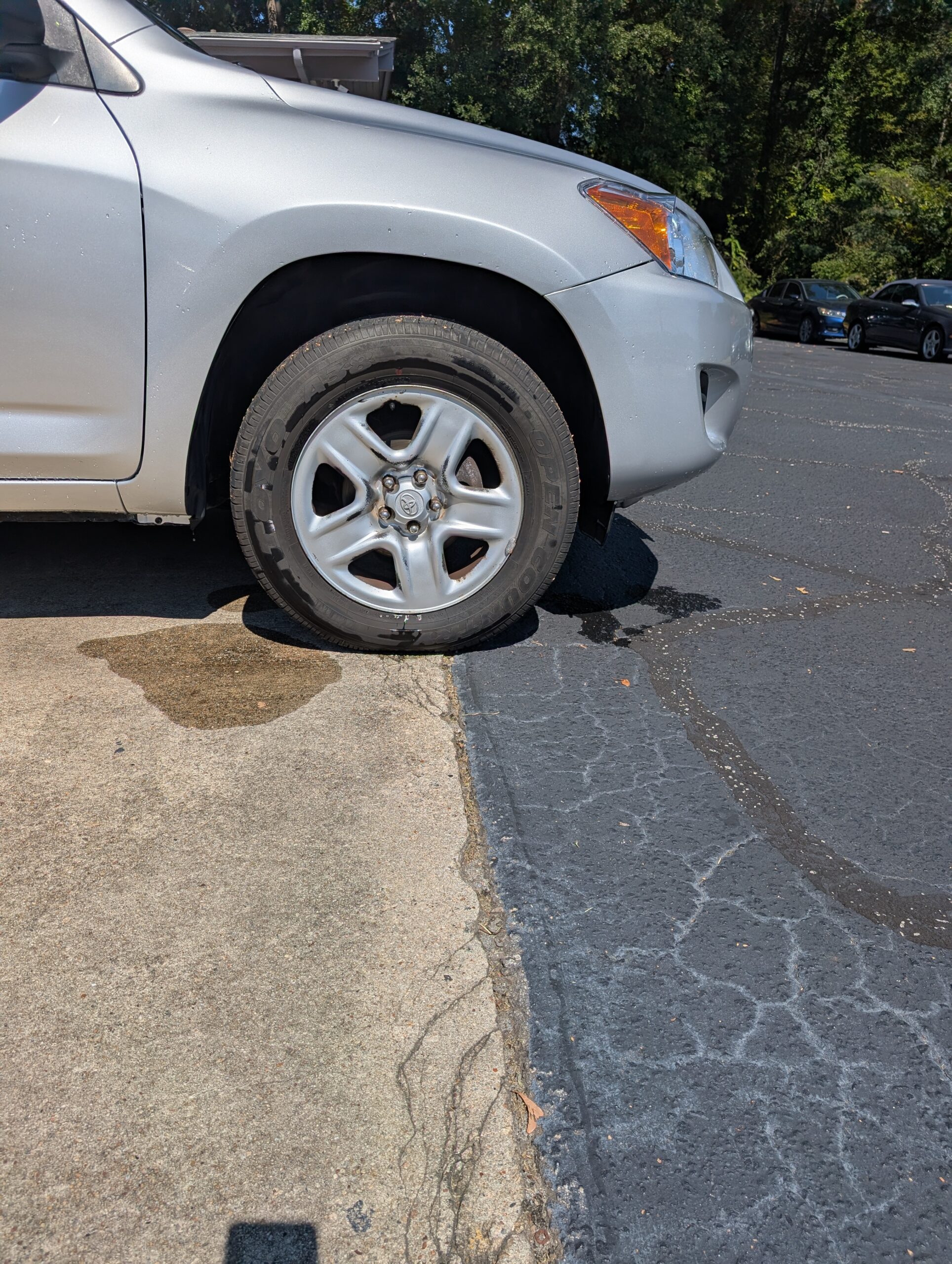 2010 Toyota RAV4 FWD 4dr 4-cyl 4-Spd AT